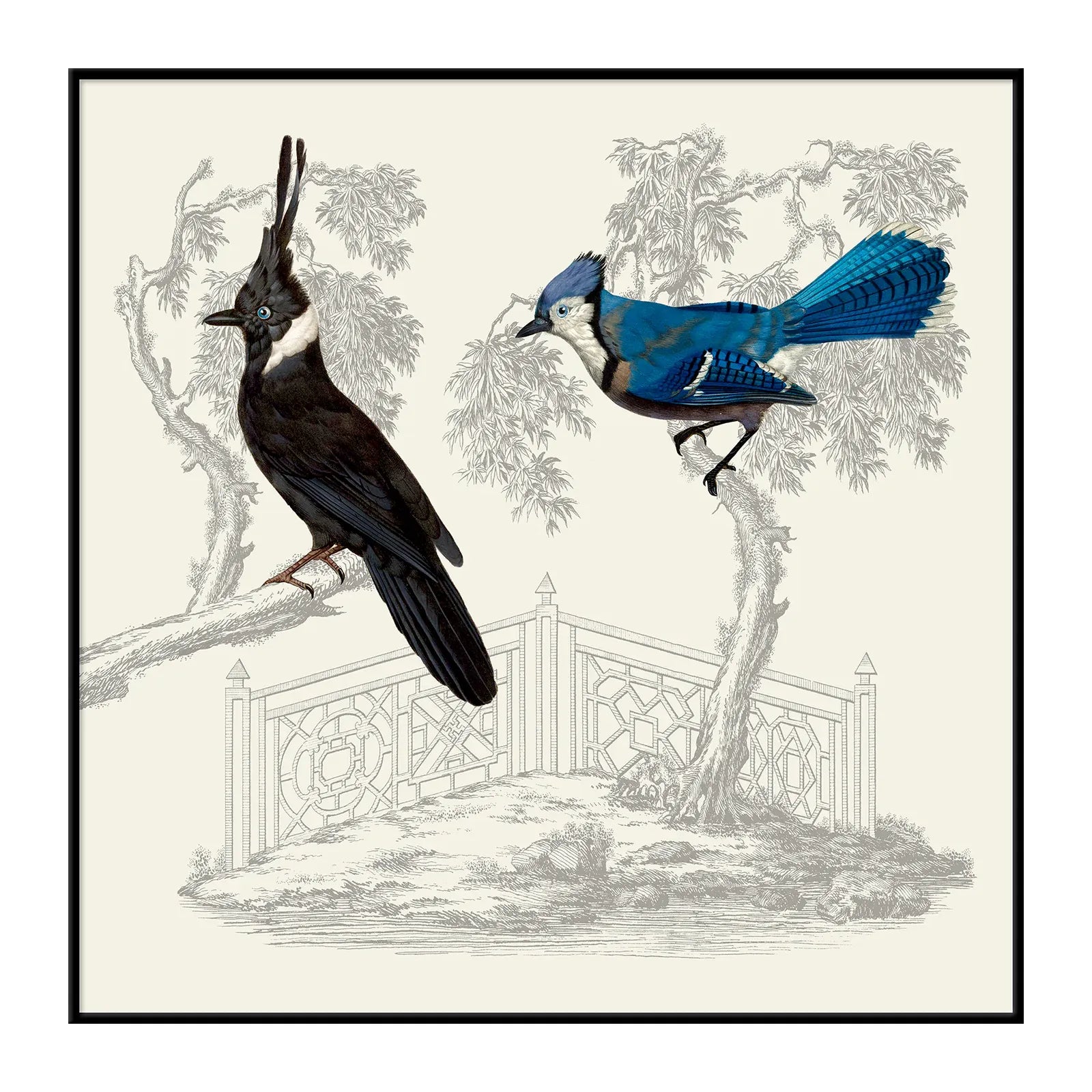 BLUE AND BLACK BIRDS illustraton on vintage background