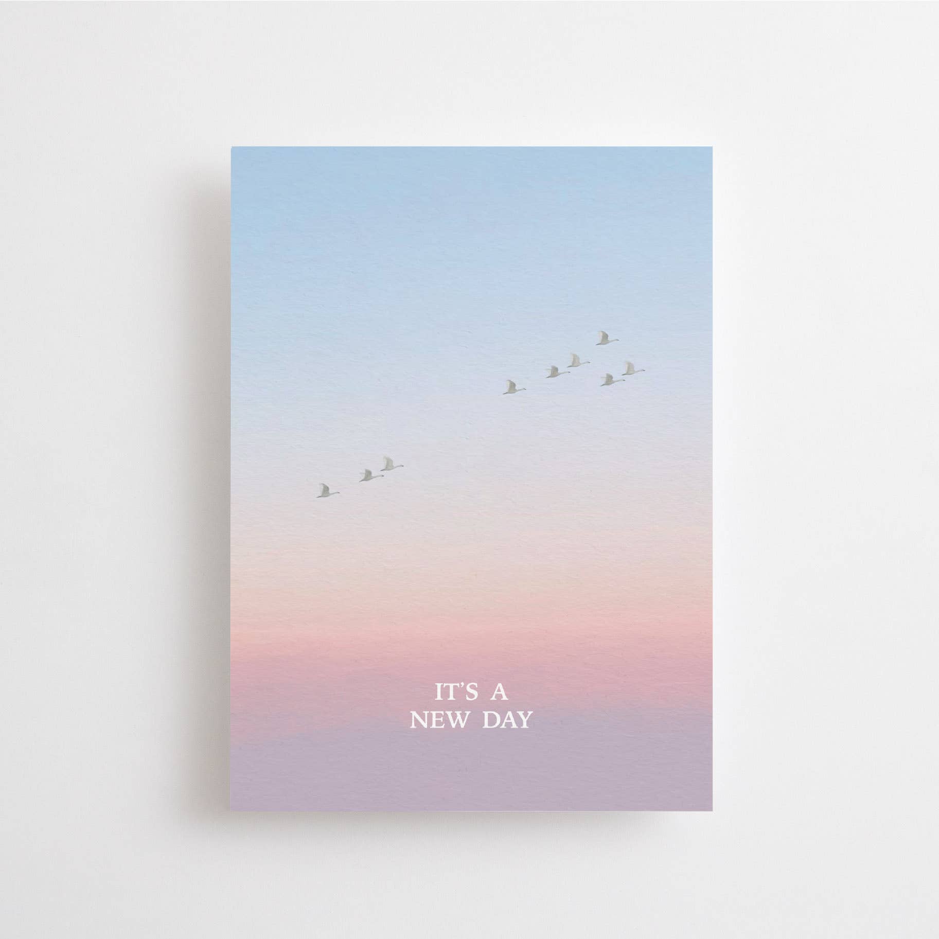 IT'S A NEW DAY | POSTCARD