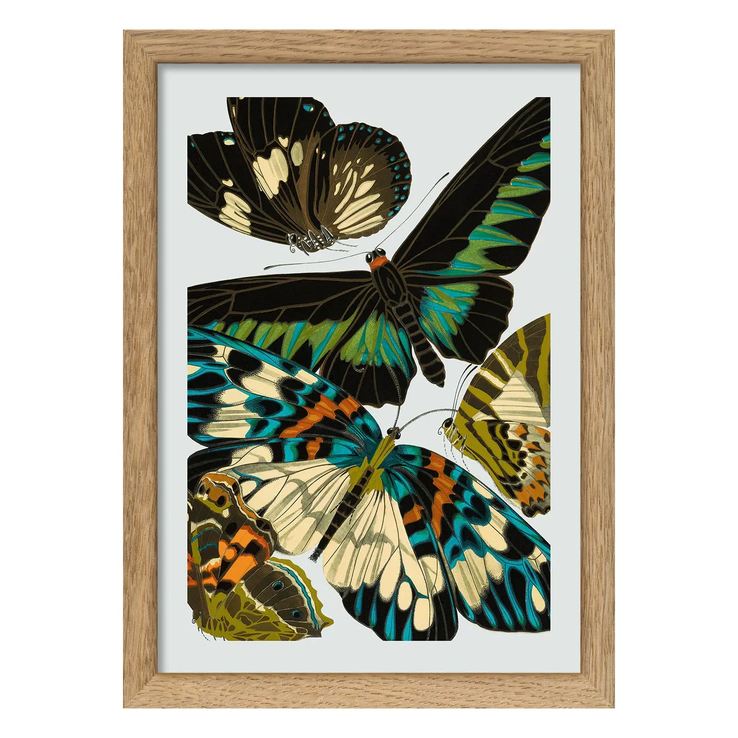 PAPILLON illustration