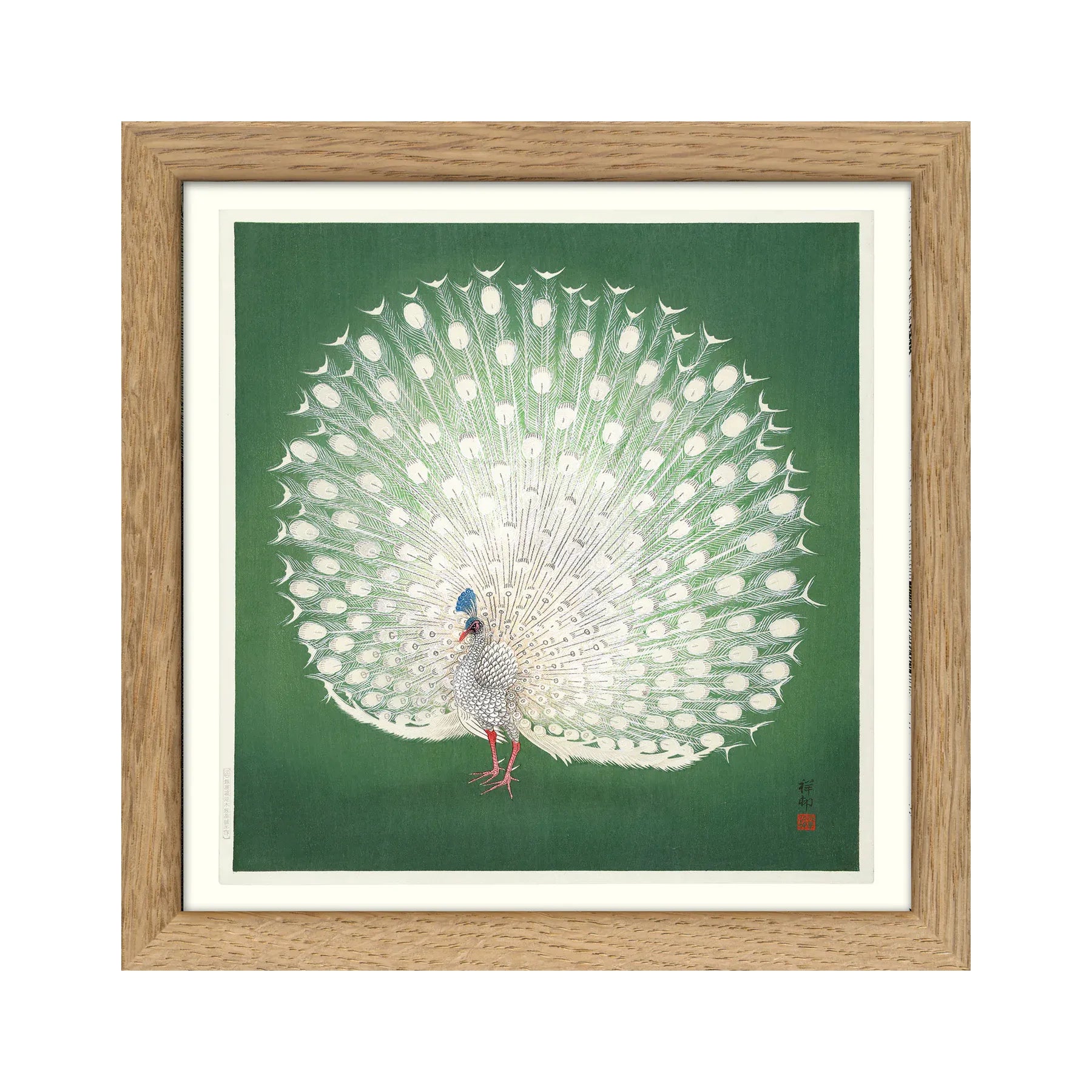 PEACOCK ON GREEN background illustration