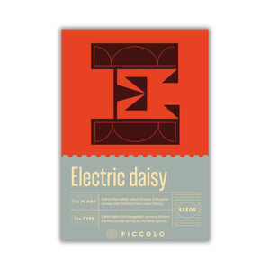 electric daisy plant seeds with typography packaging