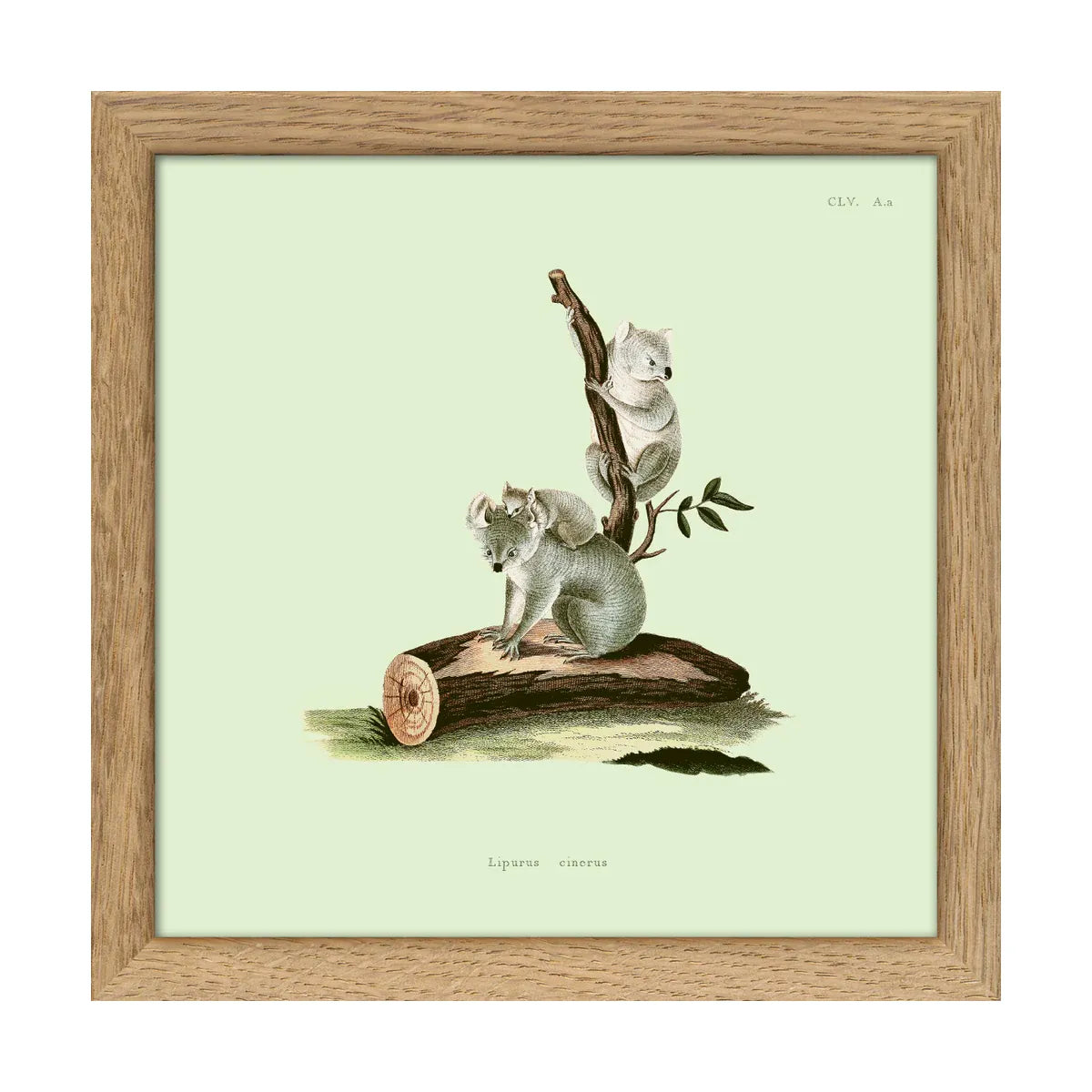 koala bears on tree print in oak frame