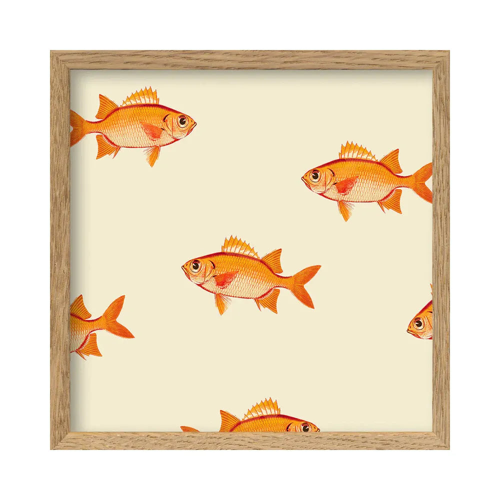 group of orange fishes print in oak frame