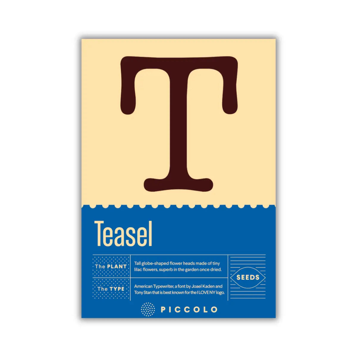 teasel plant seeds with typography packaging