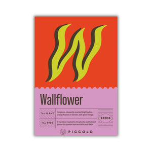 wallflower plant seeds with typography packaging